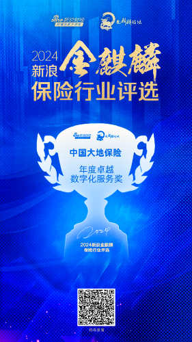 中國大地保險-年度數字化服務保險公司